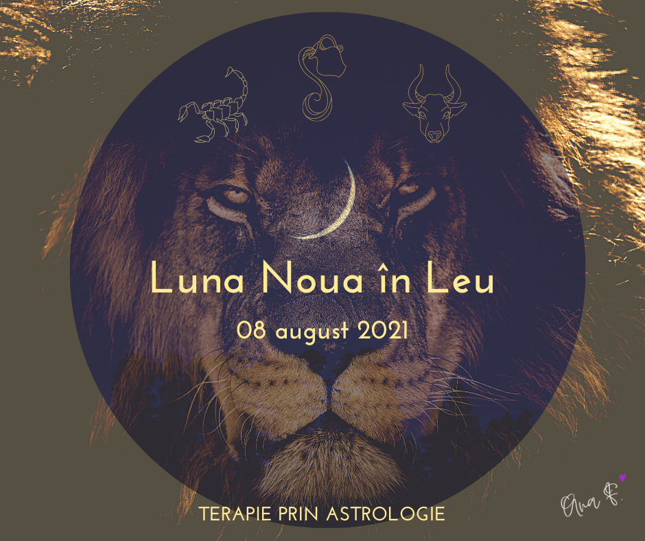 Luna Nouă în zodia Leu